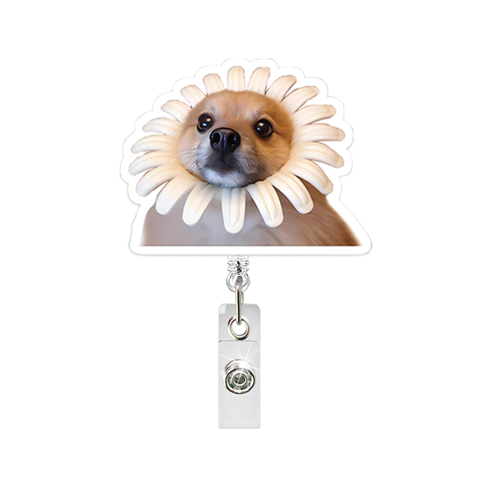 Divertente cane acrilico porta - Home Office Login recensione e prezzo
