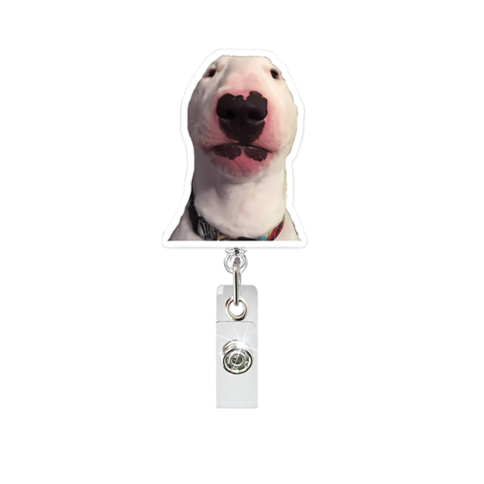 Divertente cane acrilico porta - Home Office Login recensione e prezzo
