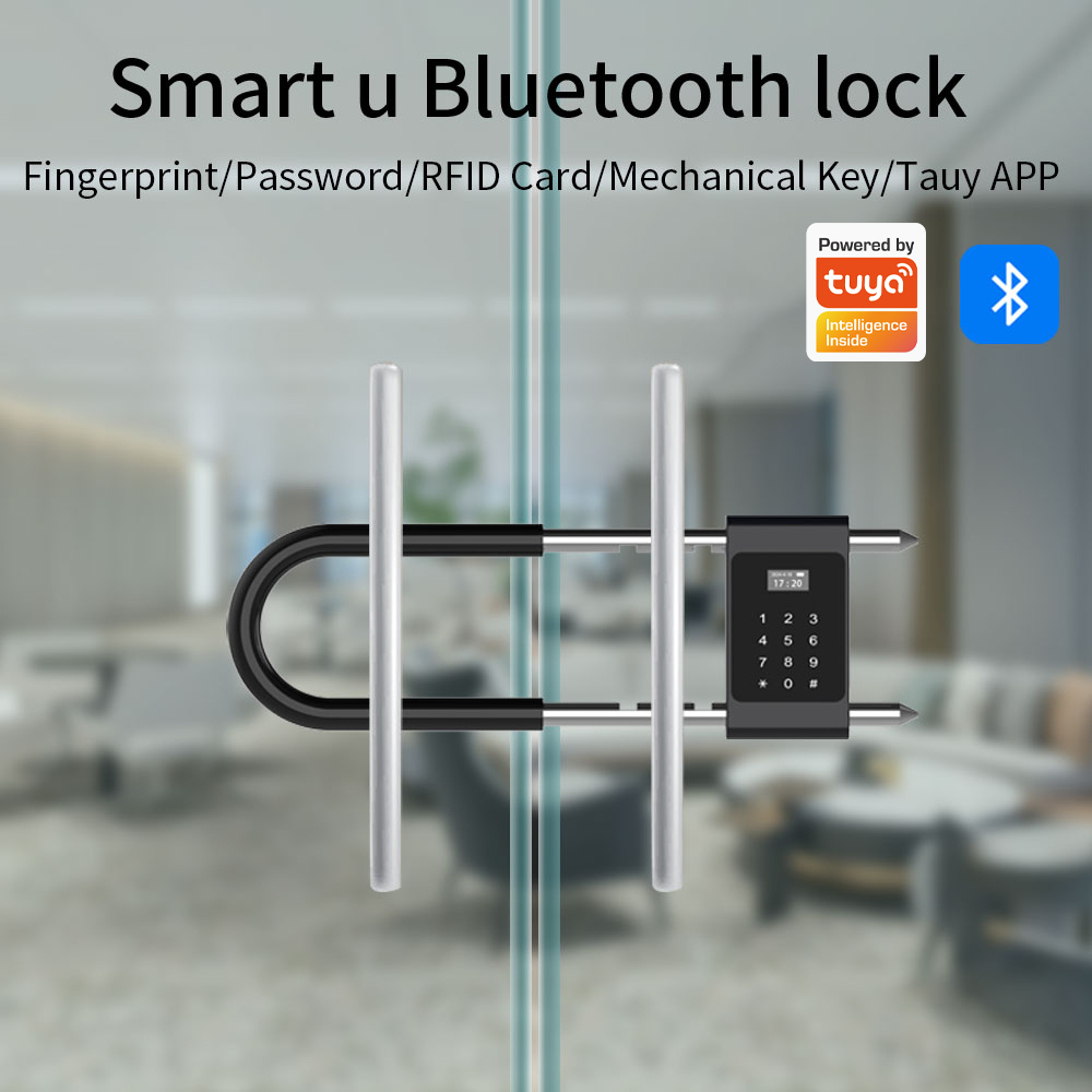 Serratura Elettronica Biometri - Home Office Login recensione e prezzo
